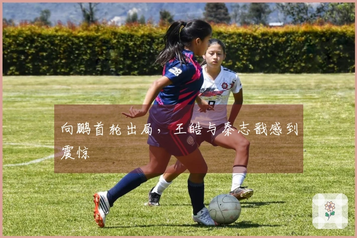 向鹏首轮出局，王皓与秦志戬感到震惊