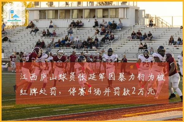 江西庐山球员张延军因暴力行为被红牌处罚，停赛4场并罚款2万元